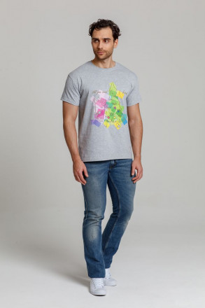 Футболка мужская Friends, серый меланж