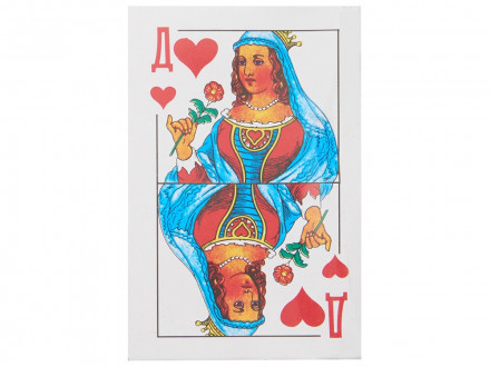 Подарочный набор в пластиковом кейсе