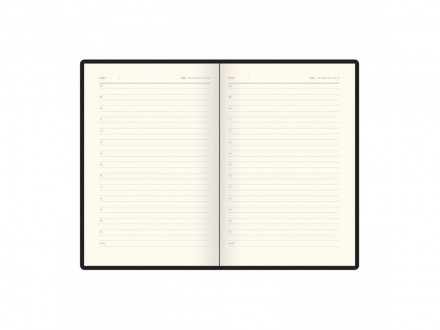 Ежедневник недатированный А5 Boston, розовый