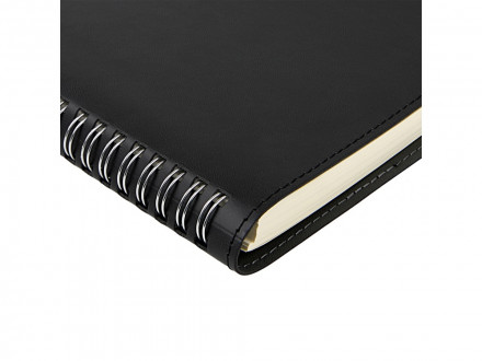 Ежедневник А5 Tintoretto, черный