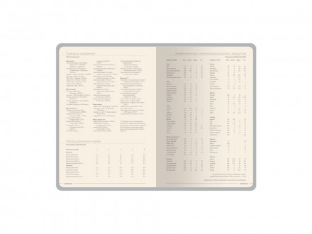 Ежедневник А5 датированный Megapolis Loft на 2026, черный