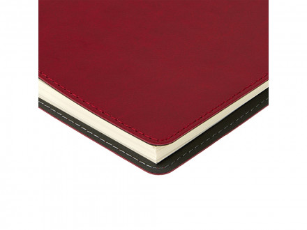 Ежедневник А5 Tintoretto, бордовый