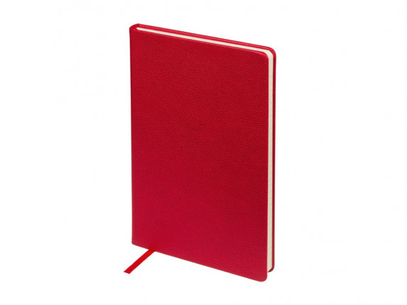Ежедневник А5 датированный Megapolis Loft на 2026, красный