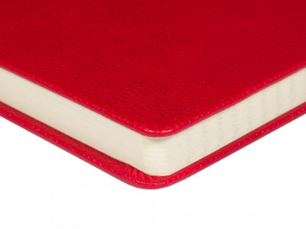 Ежедневник А5 датированный Megapolis Loft на 2026, красный