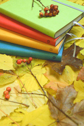 Ежедневник Vivien, недатированный, красный