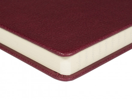 Ежедневник А5 датированный Megapolis Loft на 2026, бордовый