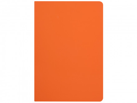 Бизнес-тетрадь А5 Pragmatic Contrast, 40 листов в клетку, оранжевый с темно-серым срезом