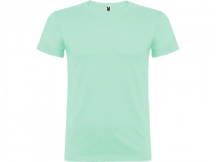 Футболка Beagle мужская, ментоловый