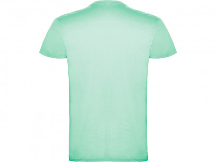 Футболка Beagle мужская, ментоловый