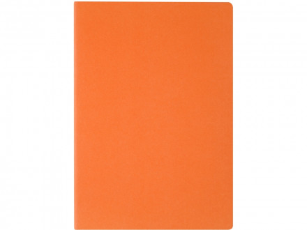 Бизнес-тетрадь А4 Pragmatic,  40л., клетка, оранжевый