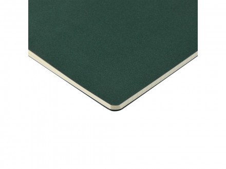 Бизнес-тетрадь А4 Pragmatic,  40л., клетка, зеленый