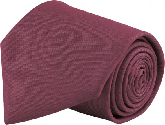 Галстук GLOBE бордовый
