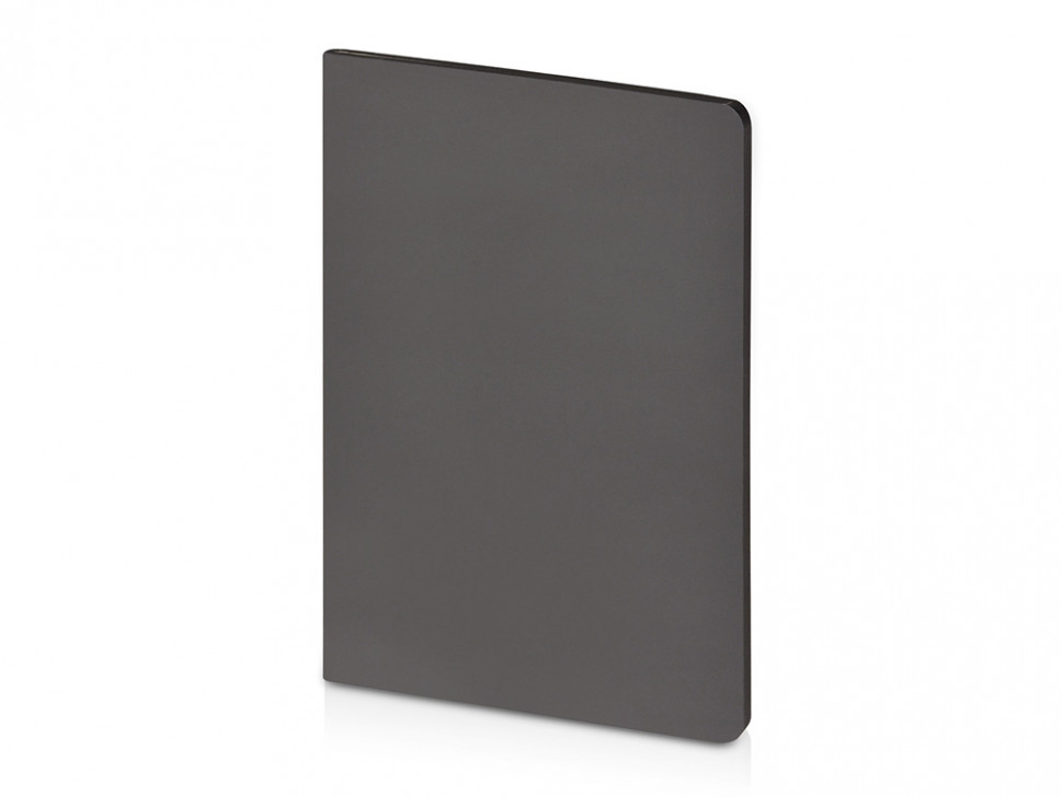 Бизнес-тетрадь А5 Pragmatic Contrast, 40 листов в клетку, серый с черным срезом