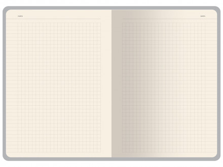 Бизнес-тетрадь А5 Pragmatic Contrast, 40 листов в клетку, серый с черным срезом