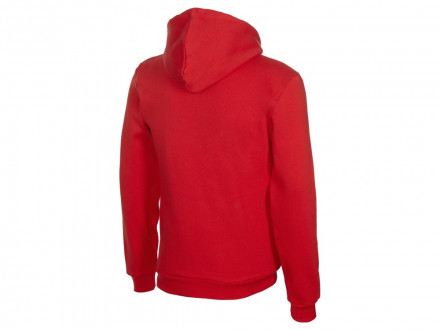 Толстовка с капюшоном Amsterdam мужская, красный