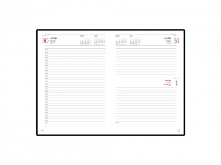 Ежедневник датированный А5 Ideal New 2025, синий