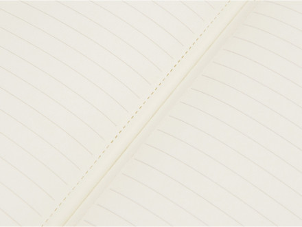 Блокнот Notepeno 130x205 мм с тонированными линованными страницами, зеленое яблоко