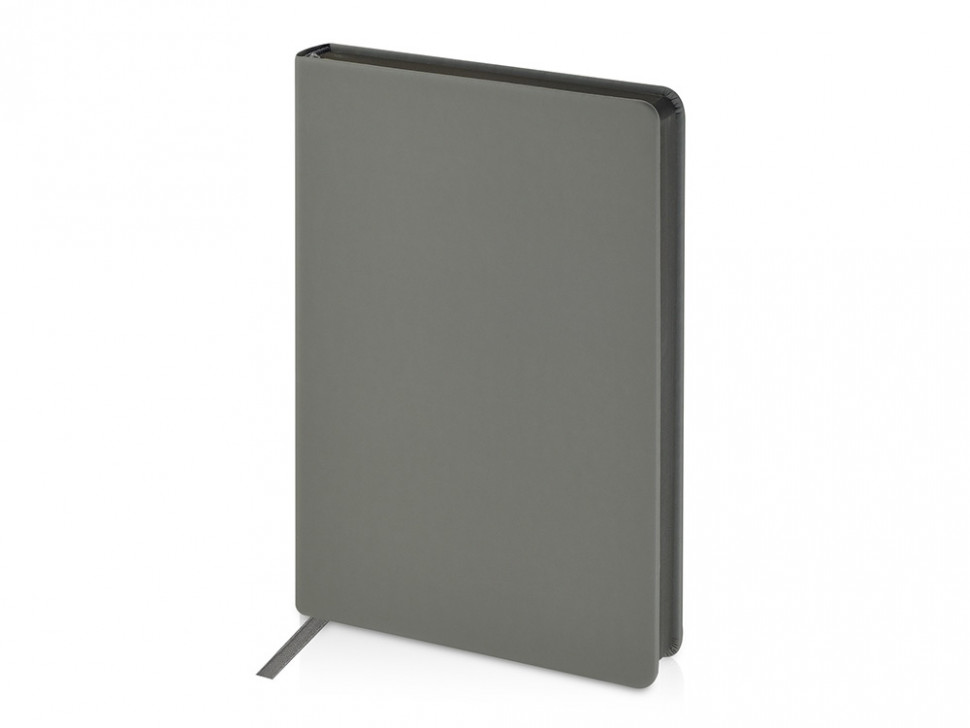 Ежедневник А5 датированный Megapolis Color 2026, серый