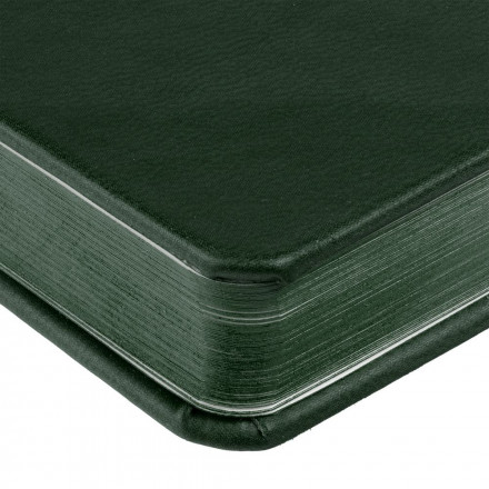 Ежедневник Brand Tone, недатированный, зеленый