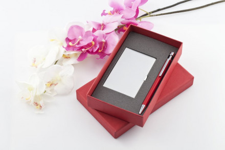 Набор Join: футляр для визиток и шариковая ручка, красный