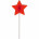Леденец на палочке «Звезда»