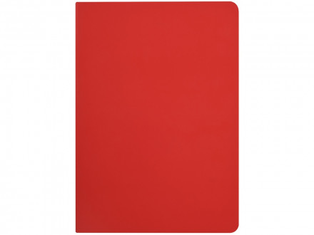 Бизнес-тетрадь А5 Pragmatic Contrast, 40 листов в клетку, красный с темно-серым срезом