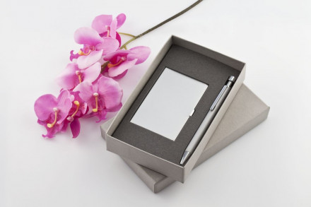 Набор Join: футляр для визиток и шариковая ручка, серебристый