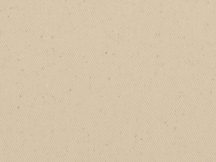 Рюкзак-мешок хлопковый Lark с цветной молнией, натуральный/черный