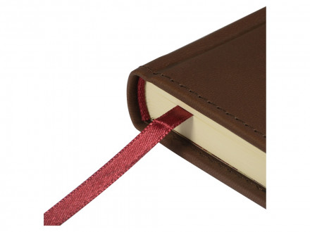 Ежедневник недатированный А5 Velvet Index (коричневый) (Р)