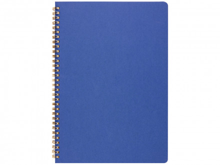 Бизнес тетрадь на гребне А4 Pragmatic, 100 листов в клетку, синий