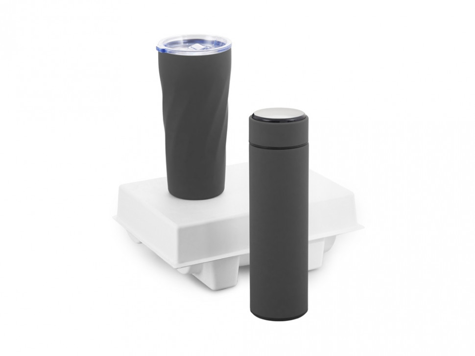 Подарочный набор FAMILY с термосом и термокружкой, серый