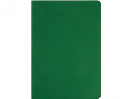 Ежедневник недатированный А5 Megapolis Color Flex, зеленый