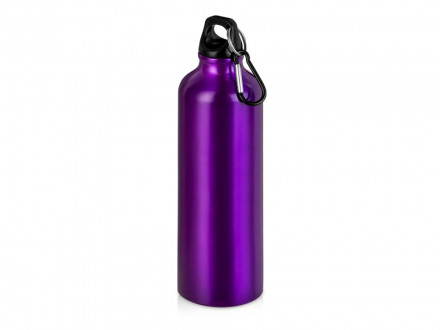 Бутылка Hip M с карабином, 770 мл, пурпурный (Р)