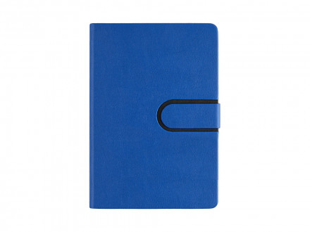 Ежедневник недатированный А5 Status, синий