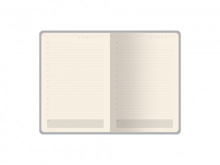 Ежедневник недатированный А5 Status, синий