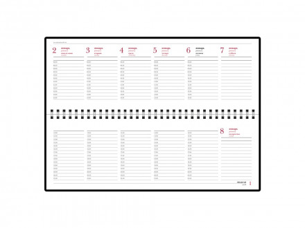 Планинг датированный Бумвинил 2025, черный