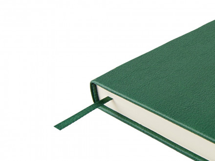 Ежедневник недатированный А5 Status, зеленый