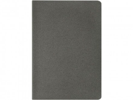 Бизнес тетрадь А5 Pragmatic, 40 листов в клетку, серый