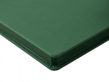 Ежедневник А5 Megapolis Color New soft-touch, зеленый